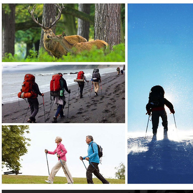 TrekBud Adjustable Trekking Pole, Hiking Stick Gear Tekk